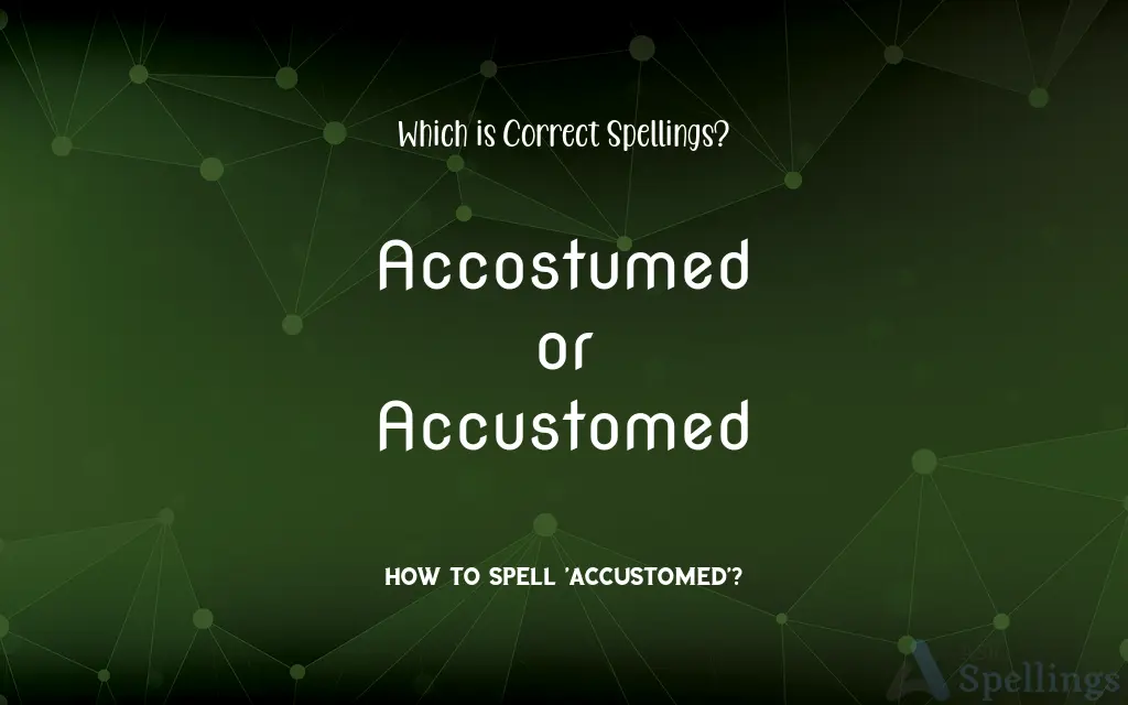 Accostumed or Accustomed: Which is Correct Spellings?