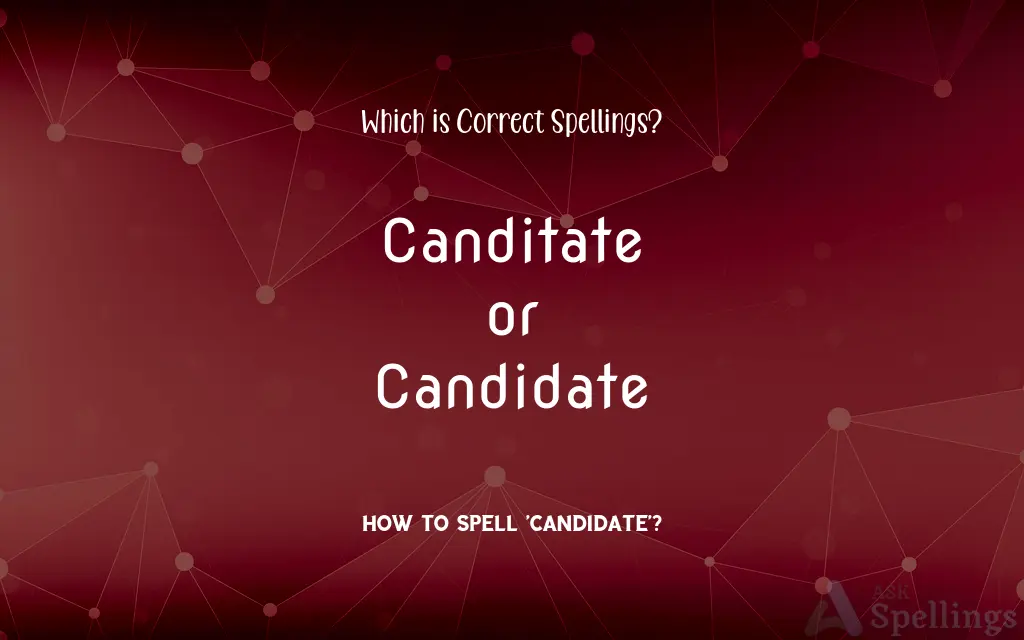 Canditate or Candidate: Which is Correct Spellings?