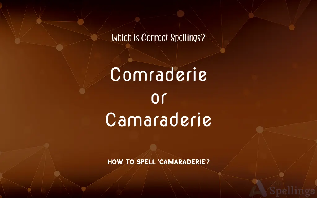 Comraderie or Camaraderie: Which is Correct Spellings?