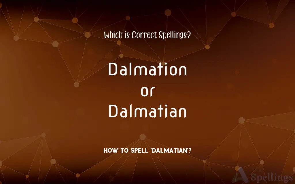 Dalmation or Dalmatian: Which is Correct Spellings?