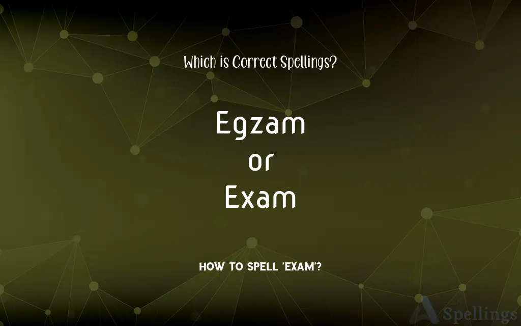 Egzam or Exam: Which is Correct Spellings?