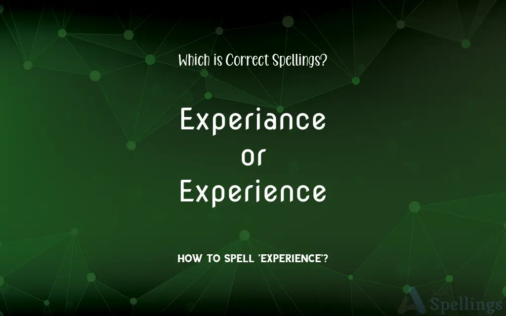 Experiance or Experience: Which is Correct Spellings?