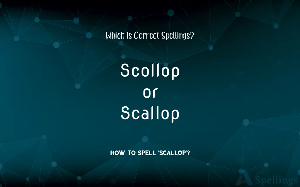 Scollop or Scallop: Which is Correct Spellings?