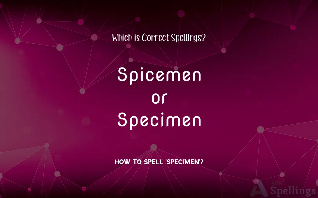 Spicemen or Specimen: Which is Correct Spellings?