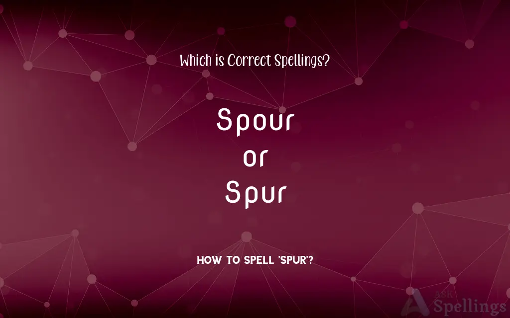 Spour or Spur: Which is Correct Spellings?