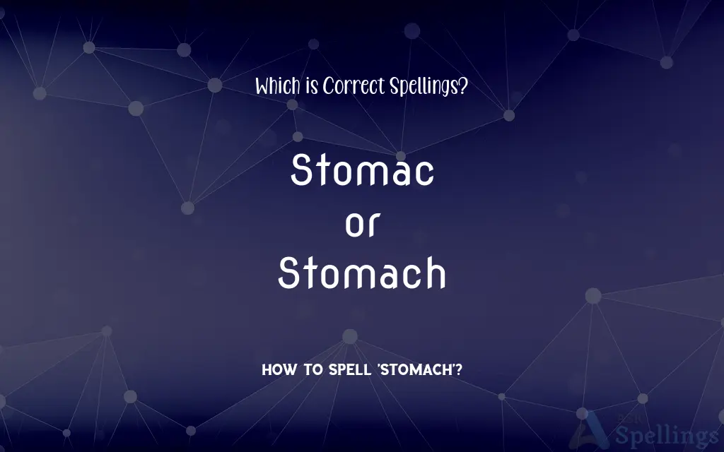 Stomac or Stomach: Which is Correct Spellings?