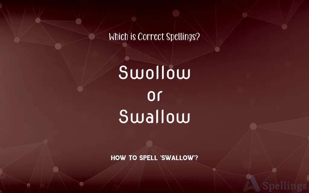 Swollow or Swallow: Which is Correct Spellings?